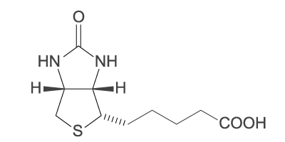 biotine.png