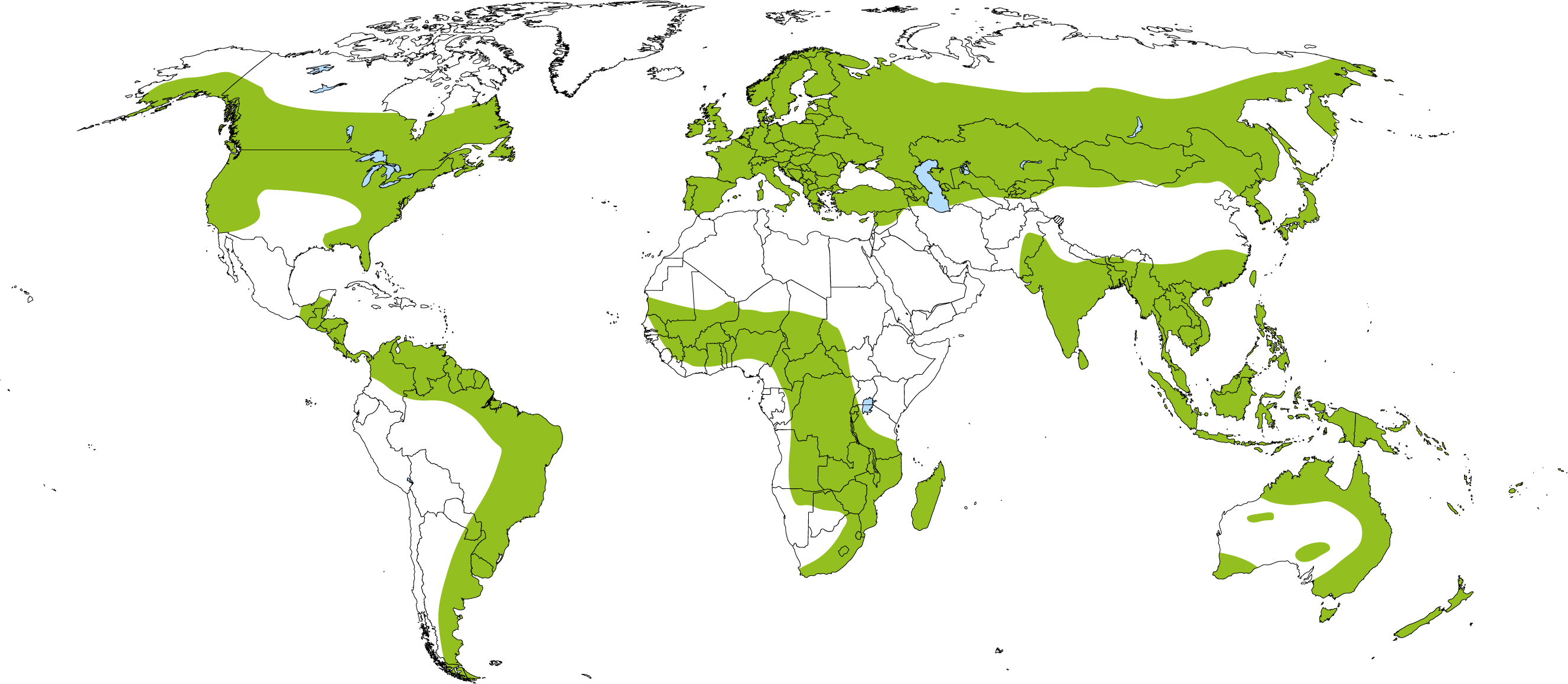 Répartition des Drosera