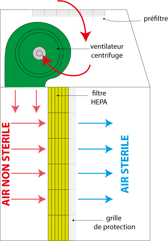 Schéma d’une hotte à flux laminaire