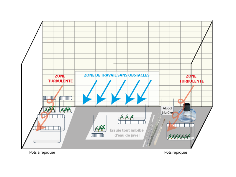 Organisation de la hotte