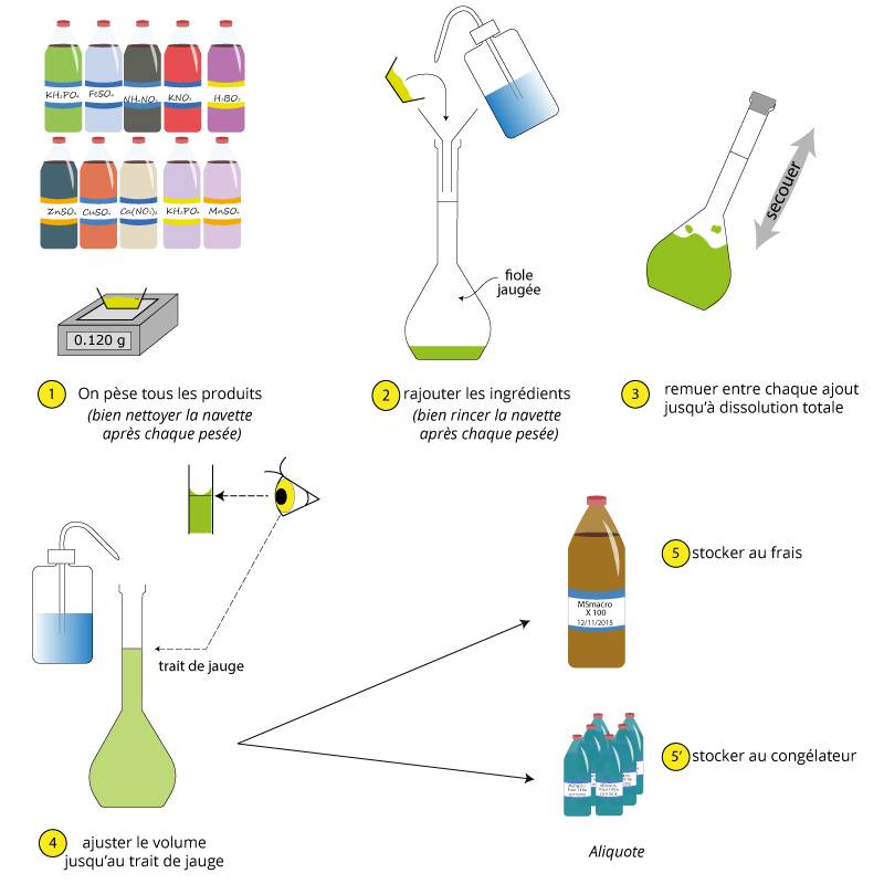 Préparation des solutions mère