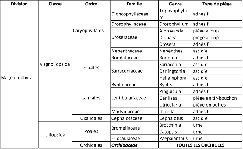 classification des plantes carnivores 